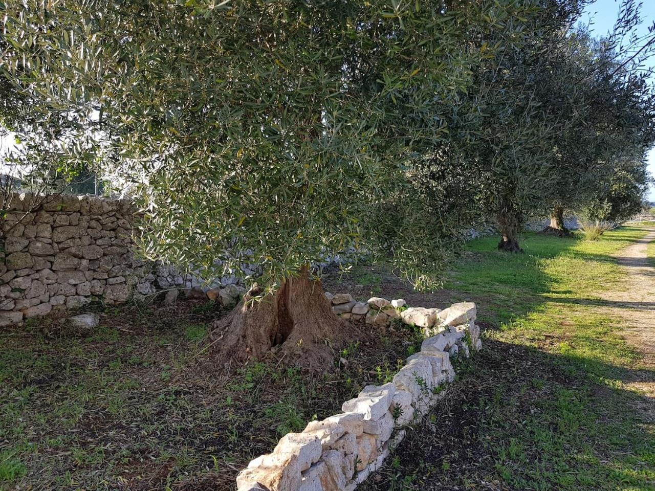 Masseria Fra Diavolo Guest House Castellana Grotte Eksteriør bilde