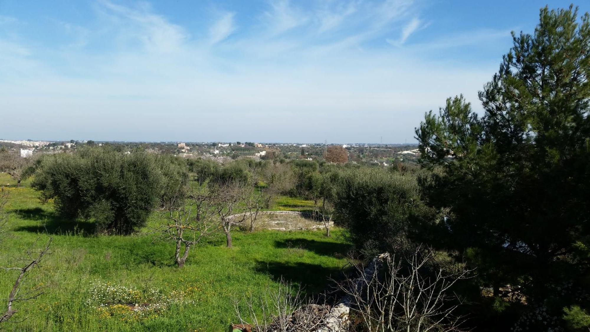 Masseria Fra Diavolo Guest House Castellana Grotte Eksteriør bilde